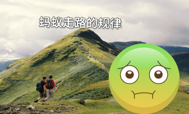 蚂蚁走路的规律 动画制作软件有哪些