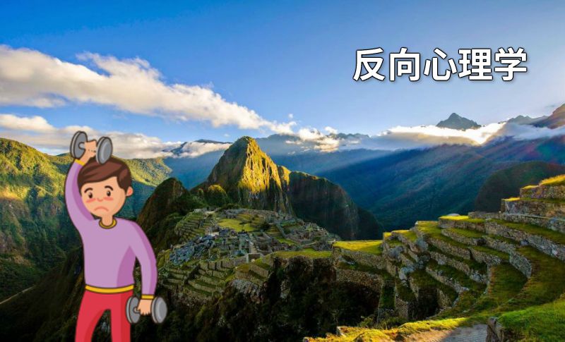 反向心理学 动画制作软件有哪些
