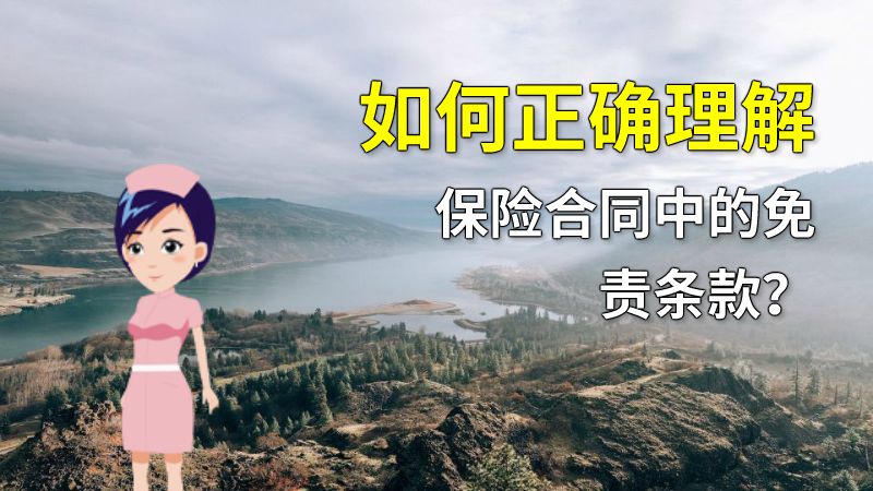如何正确理解保险合同中的免责条款？ 动画制作软件有哪些