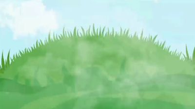 生长发育.am 动画制作软件有哪些