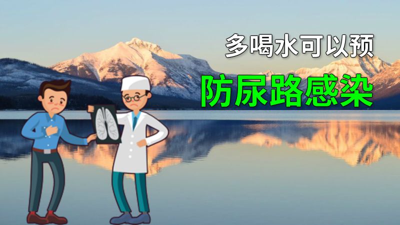 多喝水可以预防尿路感染 动画制作软件有哪些