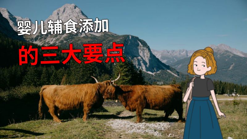 婴儿辅食添加的三大要点 动画制作软件有哪些