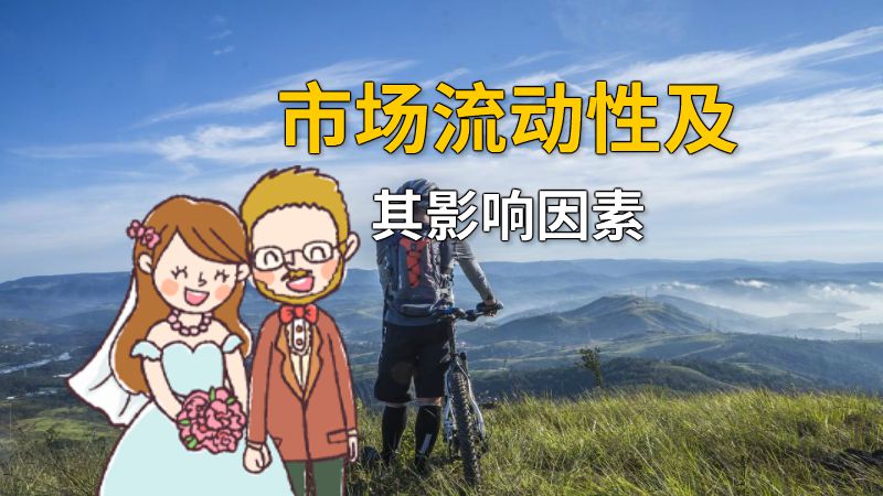 市场流动性及其影响因素 动画制作软件有哪些