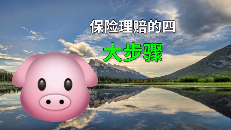 保险理赔的四大步骤 动画制作软件有哪些
