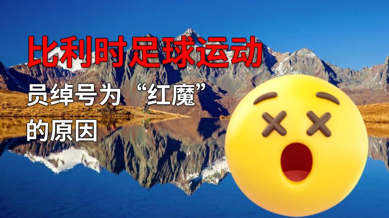 比利时足球运动员绰号为“红魔”的原因 动画制作软件有哪些