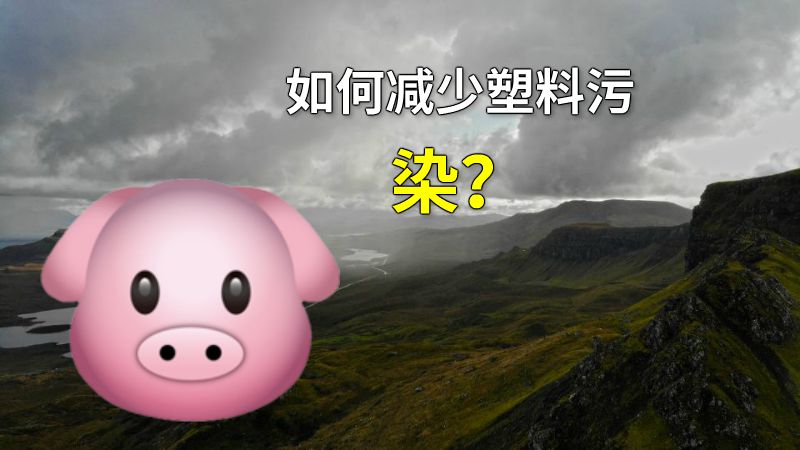 如何减少塑料污染？ 动画制作软件有哪些