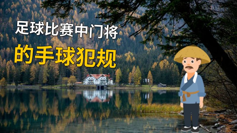 足球比赛中门将的手球犯规 动画制作软件有哪些