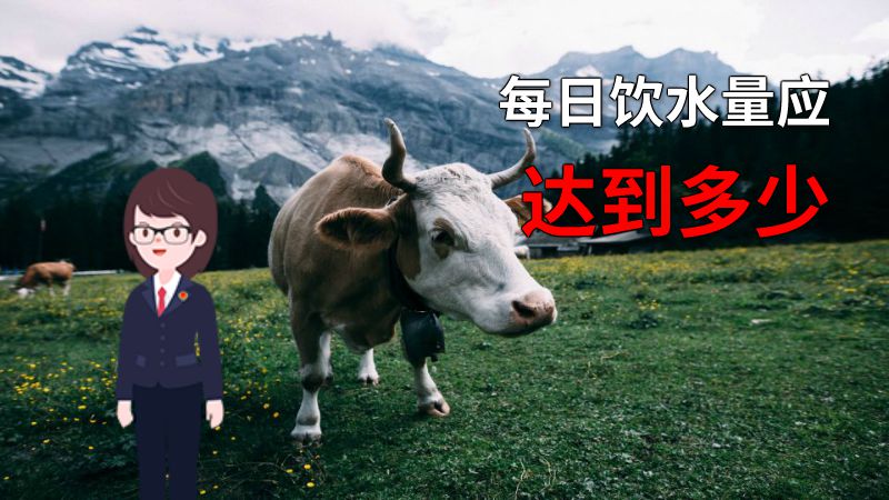 每日饮水量应达到多少 动画制作软件有哪些