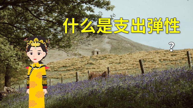 什么是支出弹性？ 动画制作软件有哪些