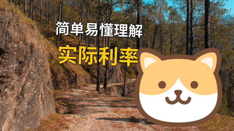 简单易懂理解实际利率 动画制作软件有哪些