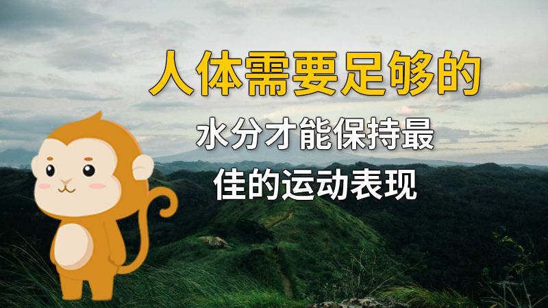 人体需要足够的水分才能保持最佳的运动表现 动画制作软件有哪些
