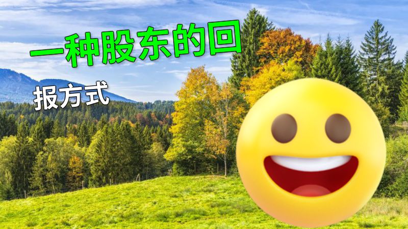 一种股东的回报方式 动画制作软件有哪些