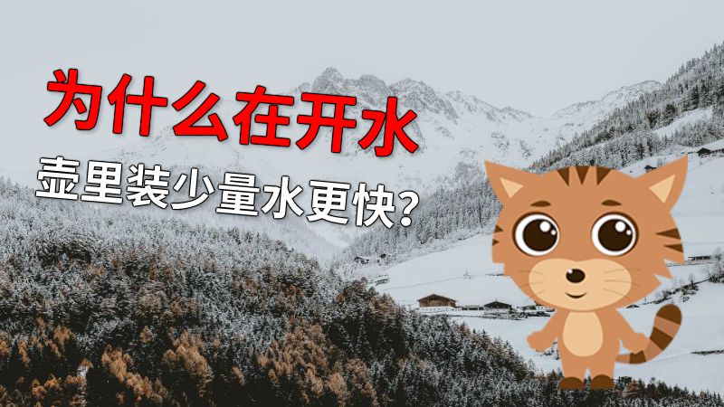 为什么在开水壶里装少量水更快？ 动画制作软件有哪些