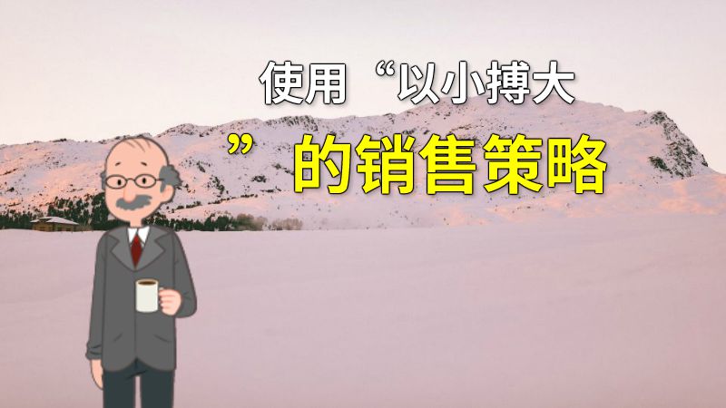 使用“以小搏大”的销售策略 动画制作软件有哪些