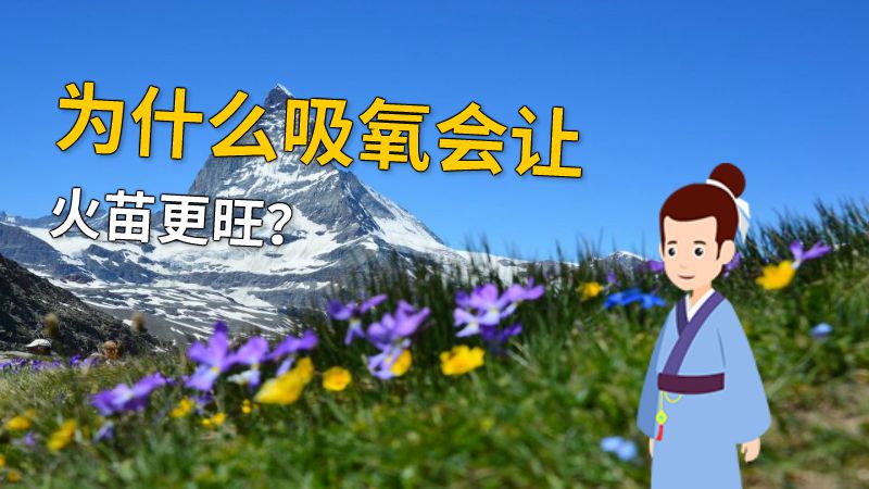 为什么吸氧会让火苗更旺？ 动画制作软件有哪些