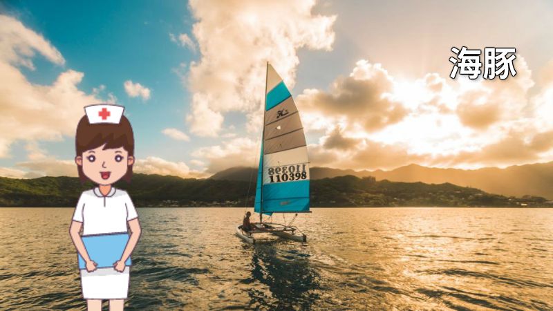 海豚 动画制作软件有哪些