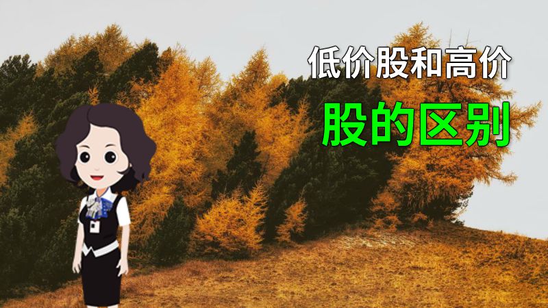 低价股和高价股的区别 动画制作软件有哪些