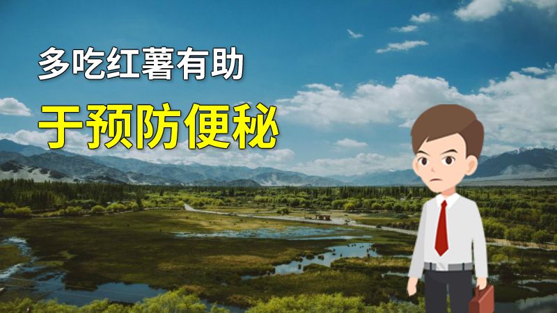 多吃红薯有助于预防便秘 动画制作软件有哪些