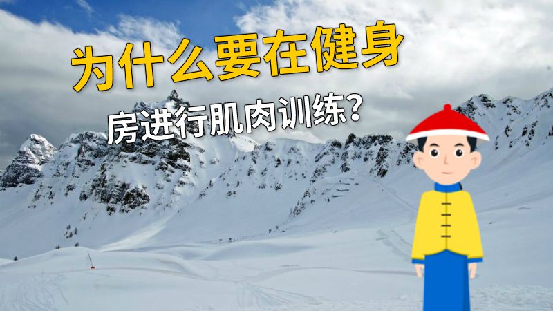 为什么要在健身房进行肌肉训练？ 动画制作软件有哪些