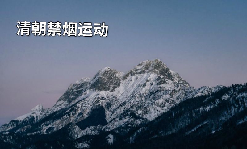 清朝禁烟运动 动画制作软件有哪些