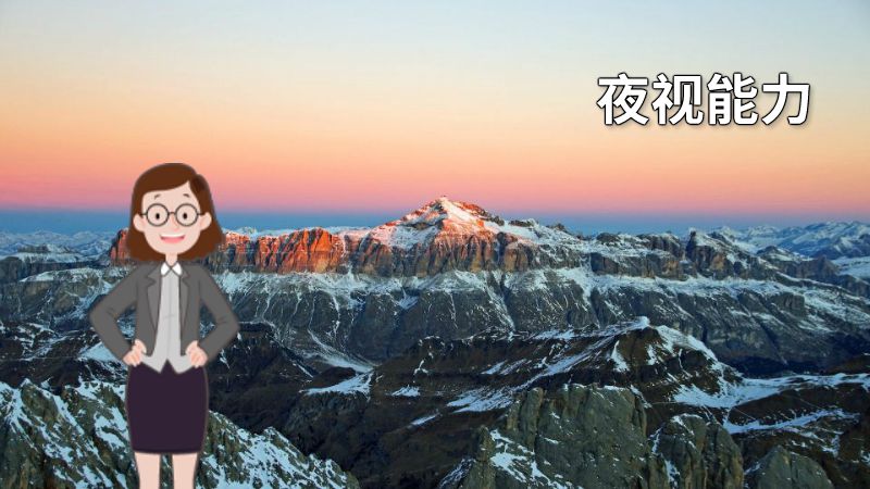 夜视能力 动画制作软件有哪些