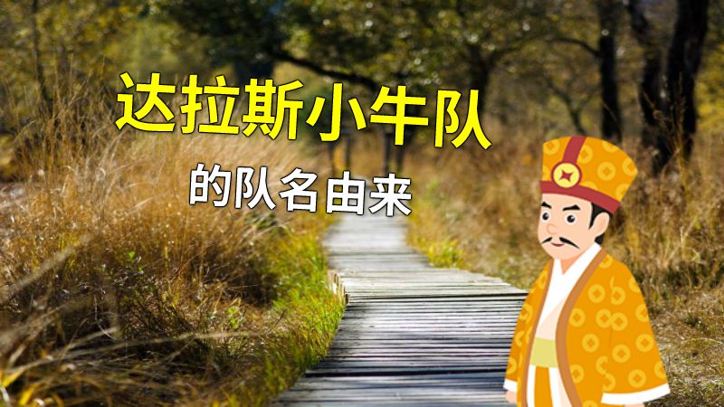 达拉斯小牛队的队名由来 动画制作软件有哪些