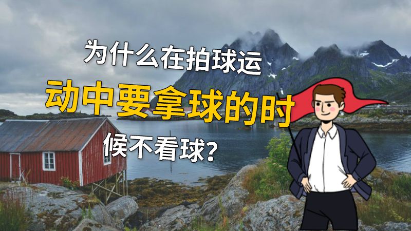 为什么在拍球运动中要拿球的时候不看球？ 动画制作软件有哪些