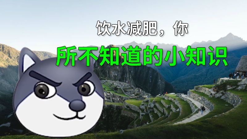 饮水减肥，你所不知道的小知识 动画制作软件有哪些