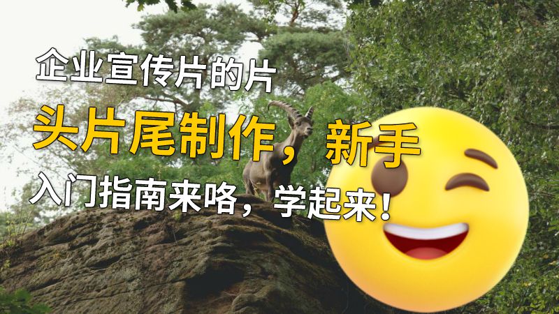企业宣传片的片头片尾制作，新手入门指南来咯，学起来！ 动画制作软件有哪些