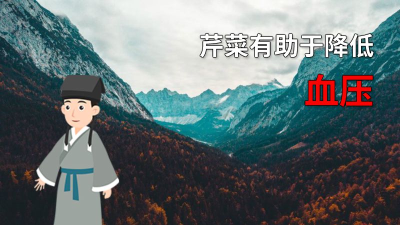 芹菜有助于降低血压 动画制作软件有哪些