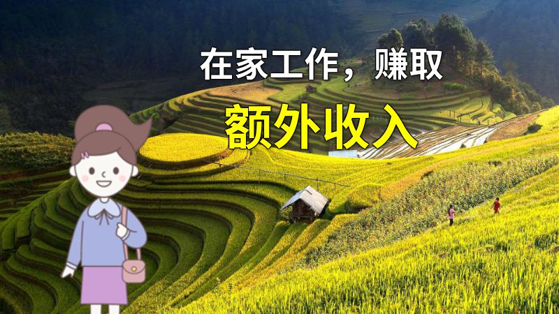 在家工作，赚取额外收入 动画制作软件有哪些