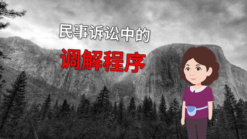 民事诉讼中的调解程序 动画制作软件有哪些