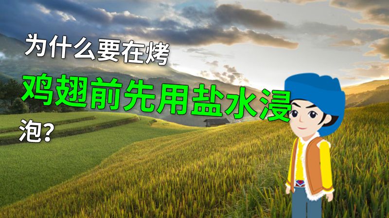 为什么要在烤鸡翅前先用盐水浸泡？ 动画制作软件有哪些