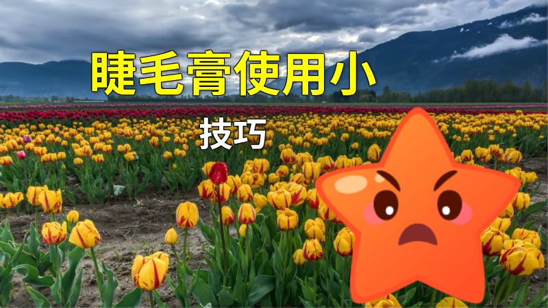 睫毛膏使用小技巧 动画制作软件有哪些