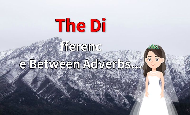 The Difference Between Adverbs and Adjectives 动画制作软件有哪些