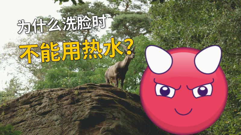 为什么洗脸时不能用热水？ 动画制作软件有哪些
