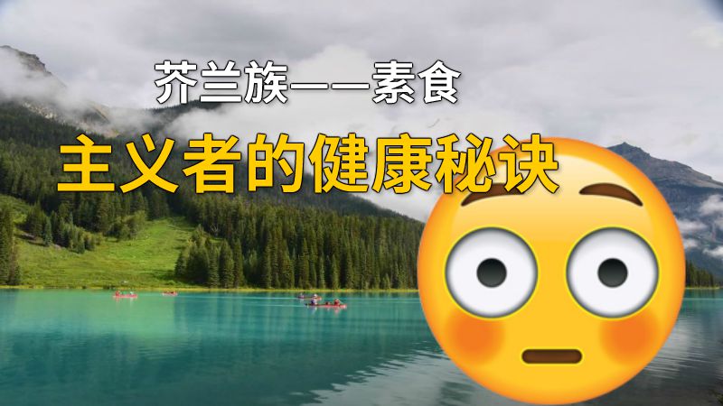 芥兰族——素食主义者的健康秘诀 动画制作软件有哪些