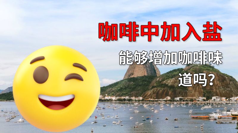 咖啡中加入盐能够增加咖啡味道吗？ 动画制作软件有哪些