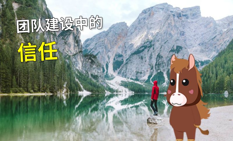 团队建设中的信任 动画制作软件有哪些