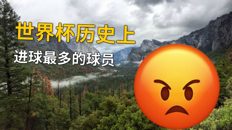 世界杯历史上进球最多的球员 动画制作软件有哪些