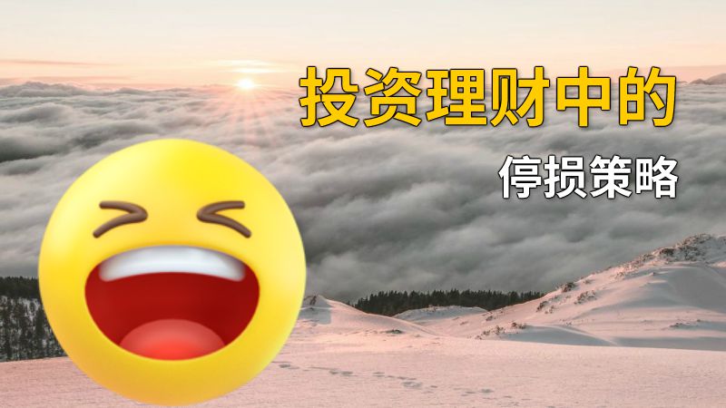 投资理财中的停损策略 动画制作软件有哪些