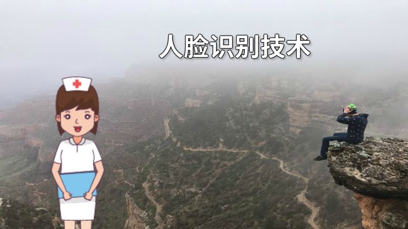 人脸识别技术 动画制作软件有哪些