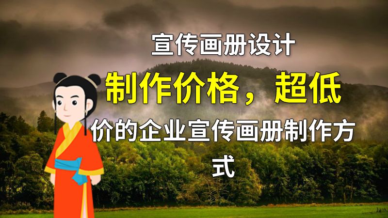 宣传画册设计制作价格，超低价的企业宣传画册制作方式 动画制作软件有哪些