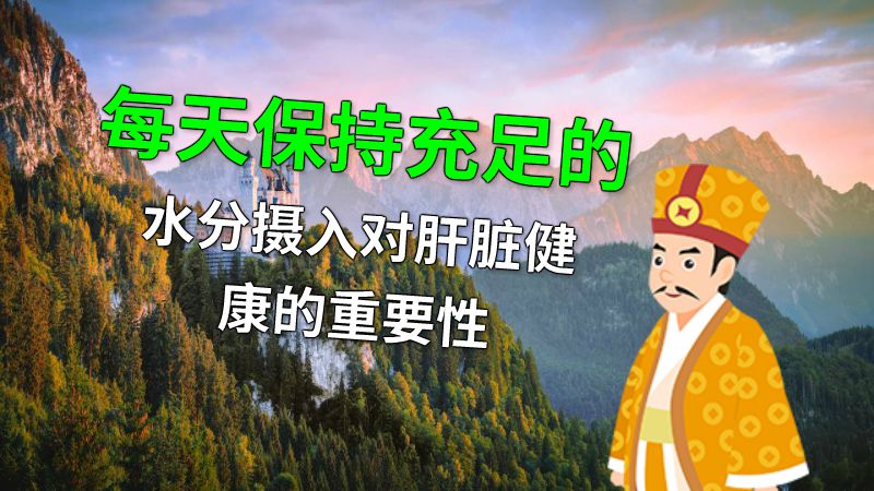 每天保持充足的水分摄入对肝脏健康的重要性 动画制作软件有哪些