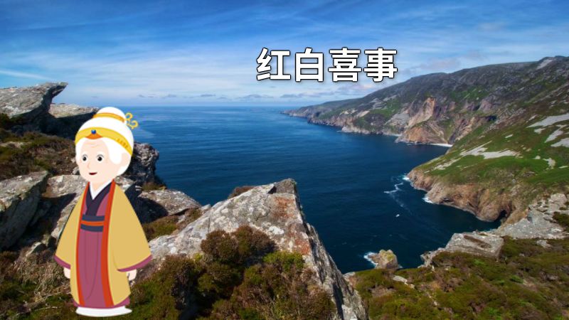 红白喜事 动画制作软件有哪些