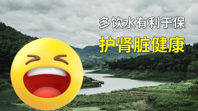 多饮水有利于保护肾脏健康 动画制作软件有哪些