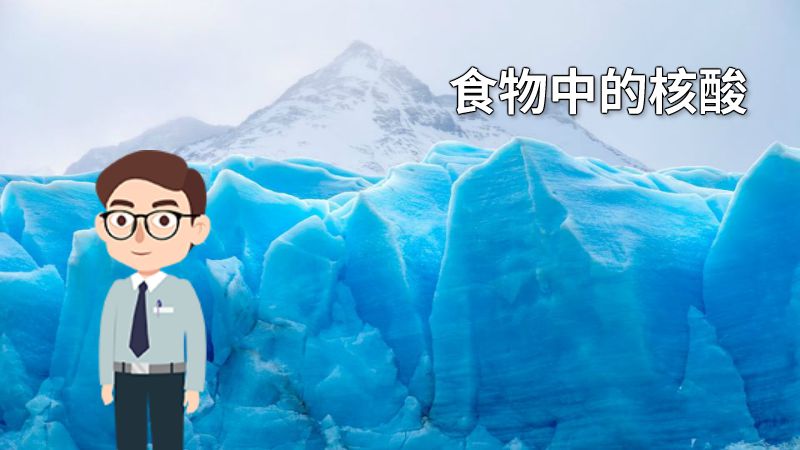 食物中的核酸 动画制作软件有哪些