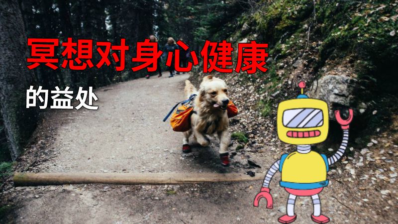 冥想对身心健康的益处 动画制作软件有哪些