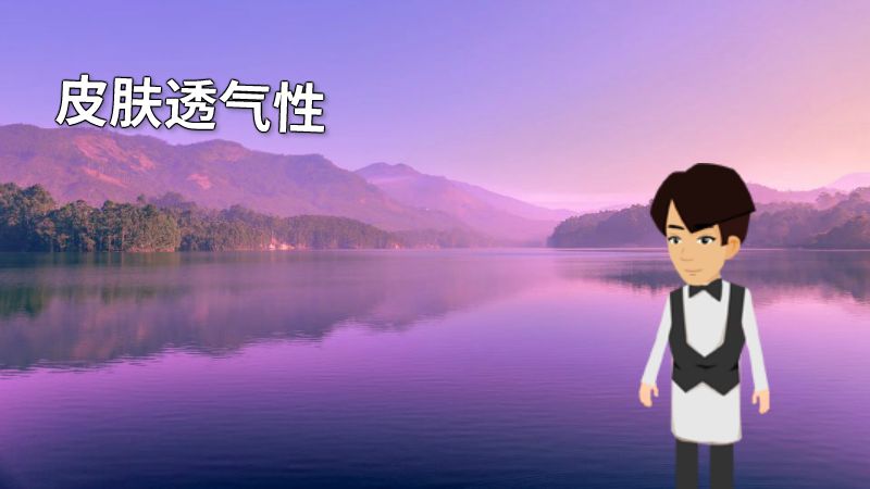 皮肤透气性 动画制作软件有哪些