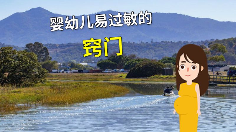 婴幼儿易过敏的窍门 动画制作软件有哪些